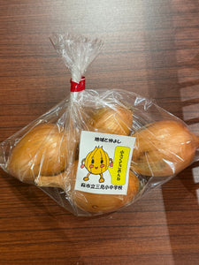 三見小中のたまねぎ