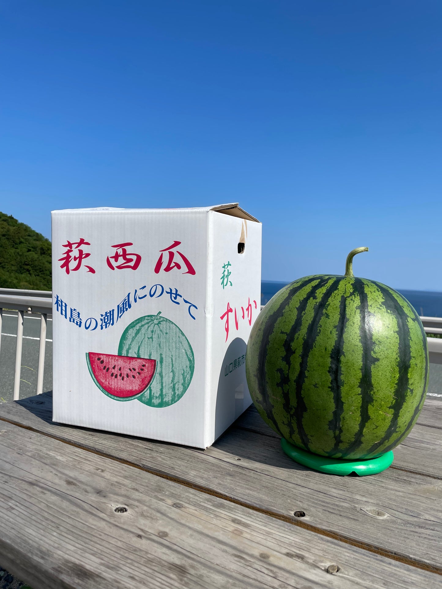 相島すいか